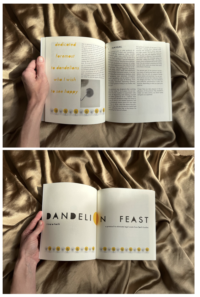 Interior spreads of the Dandelion Feast booklet showing the manual and the title page.