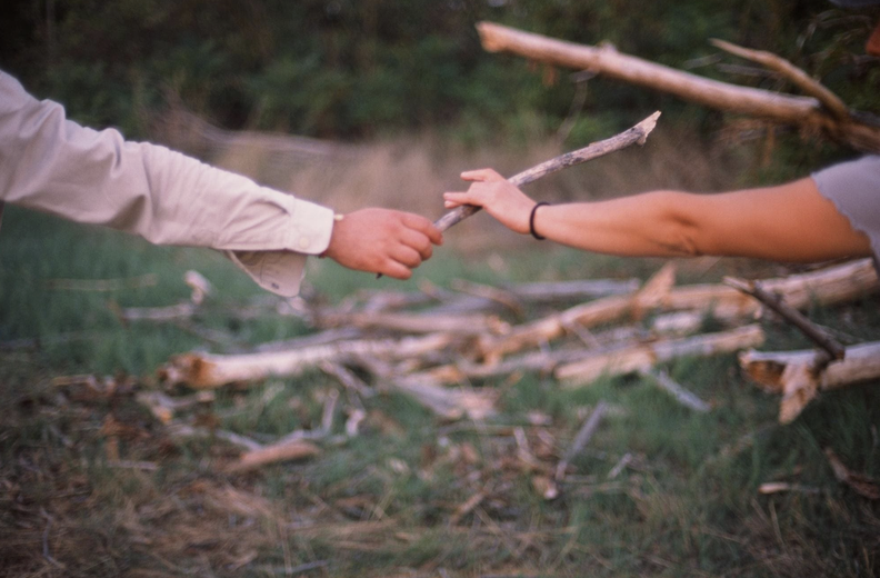 Two hands passing a poplar branch to one another above the fallen wood.