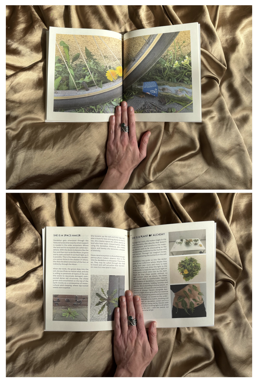 Photographic and text spreads from the Dandelion Feast booklet held open on gold silk.